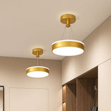 Tyalez Modern Metal LED Pendant Ceiling Lights For Hallway
