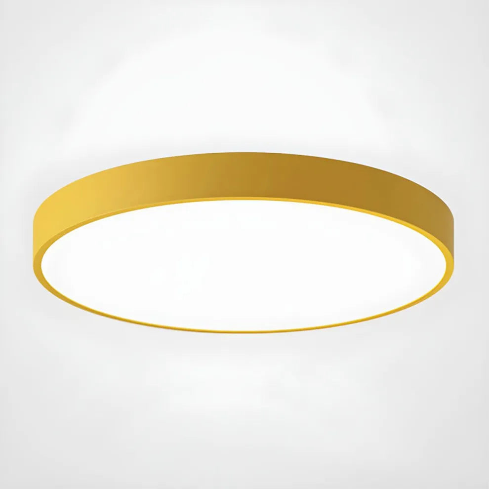 Tyalez Minimalist LED Colorful Ceiling Lights For Living Room