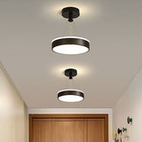 Tyalez Modern Metal LED Pendant Ceiling Lights For Hallway
