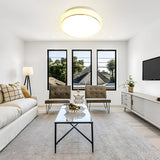 Tyalez Sleek Round LED Ceiling Light for Modern Living Rooms