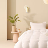Tyalez Simple Modern Small Stained Wall Sconce