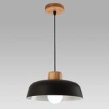 Scandinavian Color Pop Round Aluminum Pendant Lamp