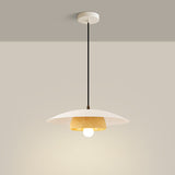 Tyalez Modern Dome Designer Metal Pendant Light