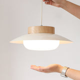 Tyalez Cream Glutinous Rice Ball Bowl Pendant Light