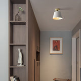 Tyalez Modern Conical Iron Shape Ceiling Light
