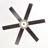 Tyalez Minimalist Black Ceiling Fan With LED Light And Remote