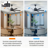 Tyalez Minimalist Black Ceiling Fan With LED Light And Remote