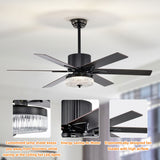 Tyalez Minimalist Black Ceiling Fan With LED Light And Remote