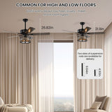Tyalez Creative Round Finish Ceiling Fan With Light And Remote