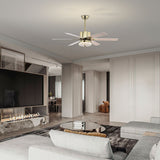 Tyalez Minimalist Black Ceiling Fan With LED Light And Remote