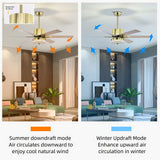Tyalez Minimalist Black Ceiling Fan With LED Light And Remote