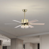Tyalez Minimalist Black Ceiling Fan With LED Light And Remote