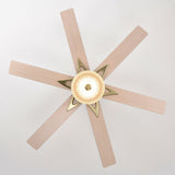 Tyalez Minimalist Black Ceiling Fan With LED Light And Remote