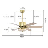 Tyalez Minimalist Black Ceiling Fan With LED Light And Remote