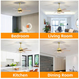 Tyalez Minimalist Black Ceiling Fan With LED Light And Remote