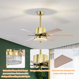 Tyalez Minimalist Black Ceiling Fan With LED Light And Remote