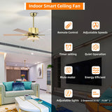 Tyalez Minimalist Black Ceiling Fan With LED Light And Remote