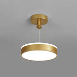 Tyalez Modern Metal LED Pendant Ceiling Lights For Hallway