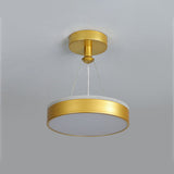 Tyalez Modern Metal LED Pendant Ceiling Lights For Hallway