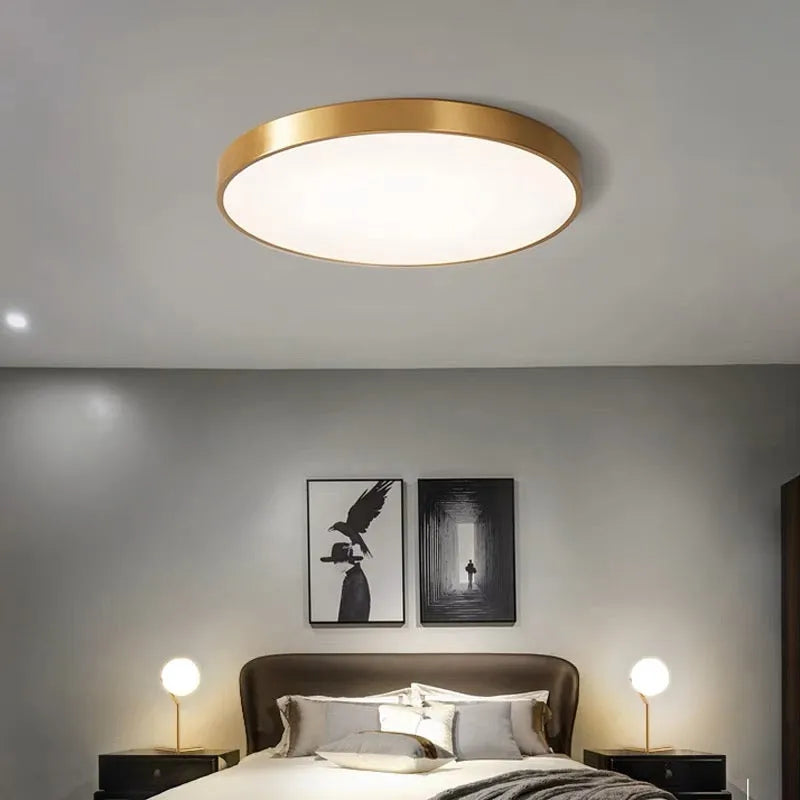 Tyalez Minimalist LED Colorful Ceiling Lights For Living Room