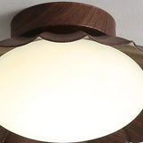 Tyalez Creative Iron Antique Acrylic LED Ceiling Lights