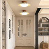 Tyalez Creative Iron Antique Acrylic LED Ceiling Lights