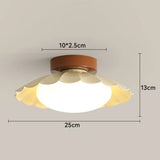Tyalez Creative Iron Antique Acrylic LED Ceiling Lights