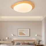 Organic Pebble LED Ceiling Light – Modern Minimalist Lamp