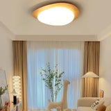 Organic Pebble LED Ceiling Light – Modern Minimalist Lamp