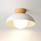 Tyalez Modern Simple Semi-Flush Mount Ceiling Light