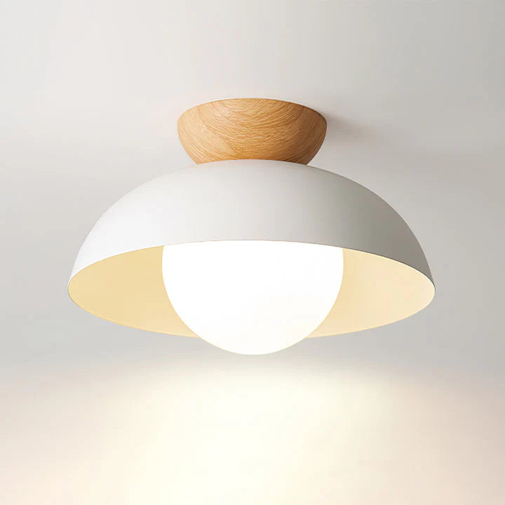 Tyalez Modern Simple Semi-Flush Mount Ceiling Light