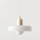 Tyalez Modern Bauhaus Glass LED Pendant Light