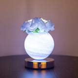 Tyalez 2025 New Fantasy Planet Rose Night Lights