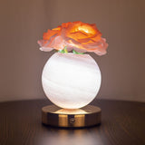 Tyalez 2025 New Fantasy Planet Rose Night Lights