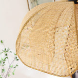 Tyalez Rattan Petal Rustic Lamp Shade Pendant Light