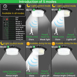 Tyalez Solar-Powered LED Barn Light