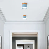 Tyalez Nordic Cylinder LED Hallway Ceiling Lights
