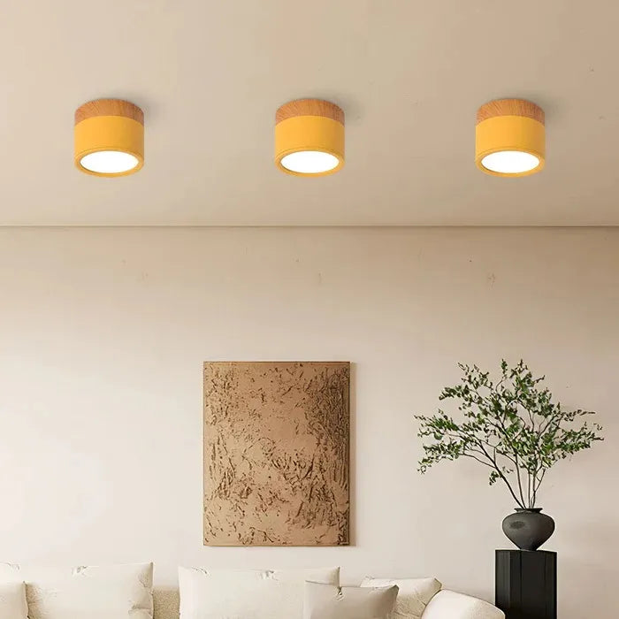 Tyalez Nordic Cylinder LED Hallway Ceiling Lights