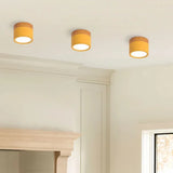 Tyalez Nordic Cylinder LED Hallway Ceiling Lights