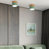 Tyalez Nordic Cylinder LED Hallway Ceiling Lights