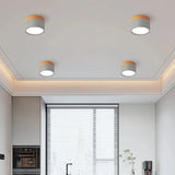 Tyalez Nordic Cylinder LED Hallway Ceiling Lights
