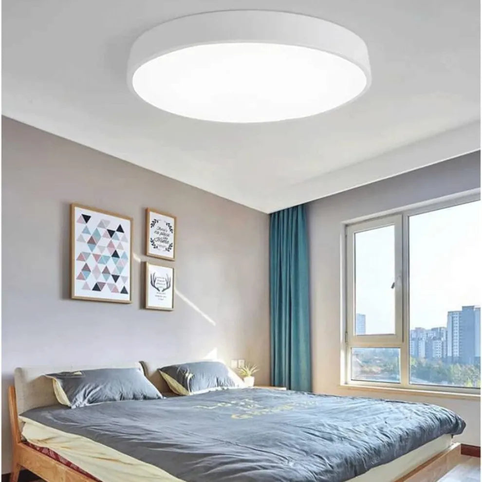 Tyalez Minimalist LED Colorful Ceiling Lights For Living Room